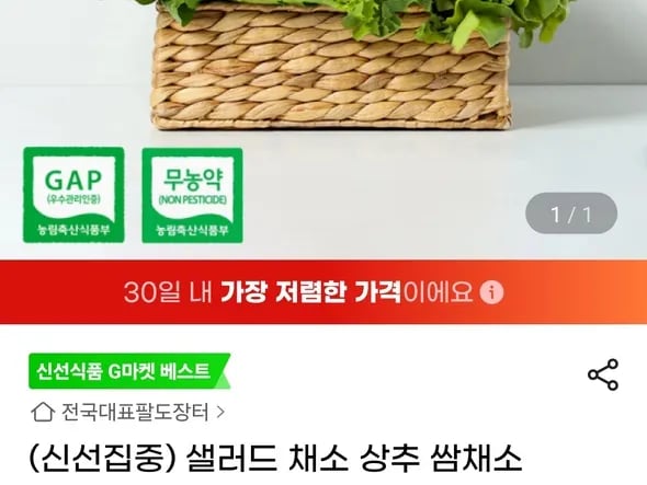 샐러드 채소 상추 쌈채소 1kg