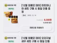 5종 세트 단품 증정