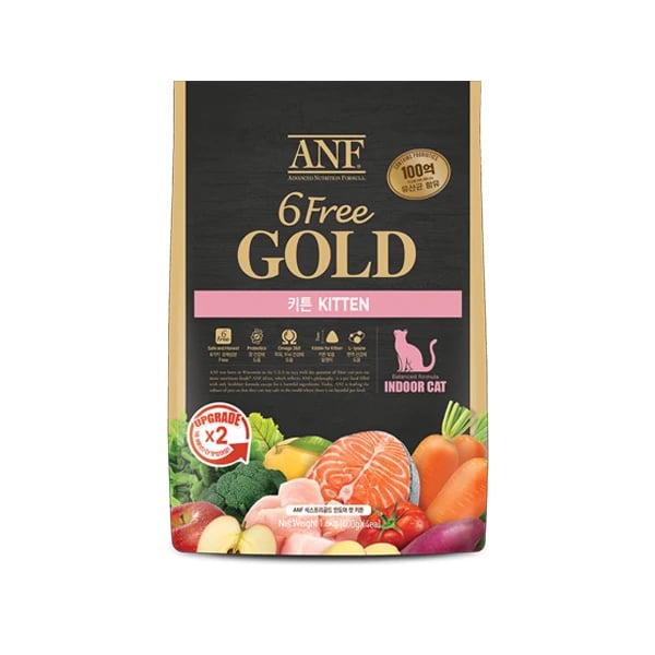 6Free 골드 인도어 캣 키튼 1.6kg (업체별도 무료배송)