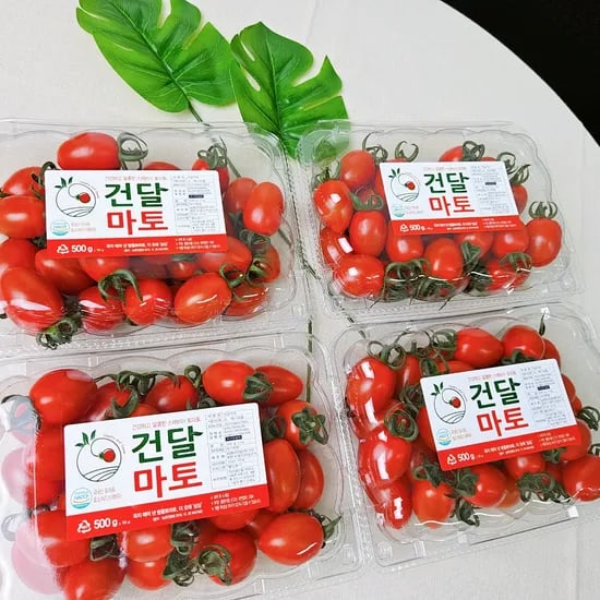 건달마토 스테비아 방울토마토, 500g, 4팩