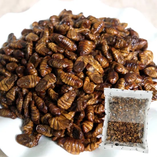 쪽빛누리 냉동 번데기, 1kg, 1개