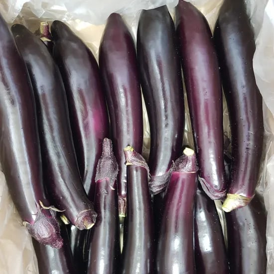 신흥유통 국내산 가지 가정용 상등급, 2kg, 1개