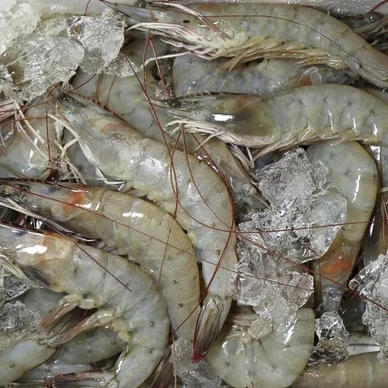 국내산 흰다리새우, 30미내외, 1kg, 1박스