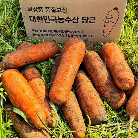 햇당근 주스용 못난이 10kg 1개