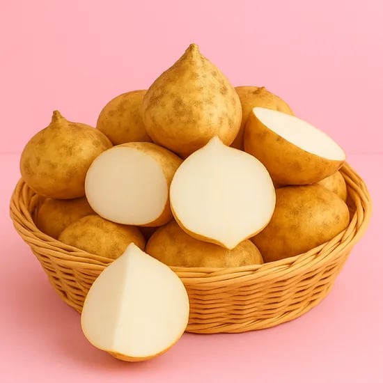 안안푸드 히카마, 10kg, 1박스