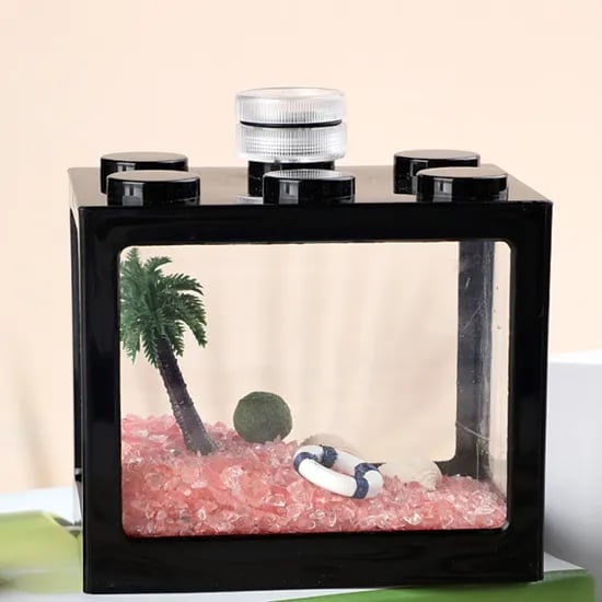 마리모 키우기 세트 DIY 무인도 마리모 led전구포함 6구블럭어항 키트, 1개