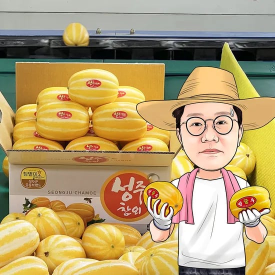 프레시왕 성주 꿀벌 수정 참외, 못난이 혼합과, 9kg, 1박스