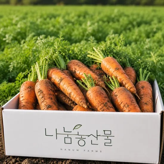 나눔농산물 제주 흙당근, 중, 2kg, 1박스