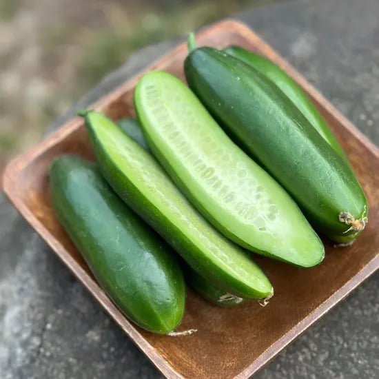 미니오이, 특상, 2kg, 1박스