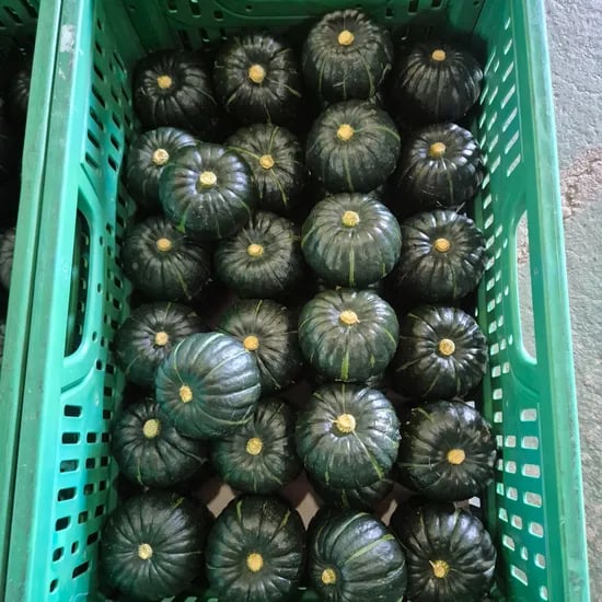 국내산 보우짱 밤호박, 로얄과, 10kg, 1박스