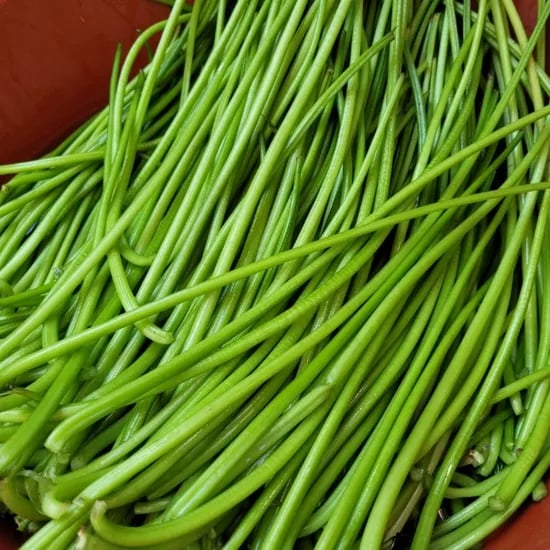 잎제거 고구마순(청대), 1kg, 1개