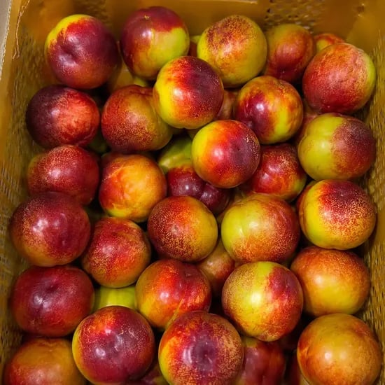 가람상점 천도복숭아, 2.5kg, 1개