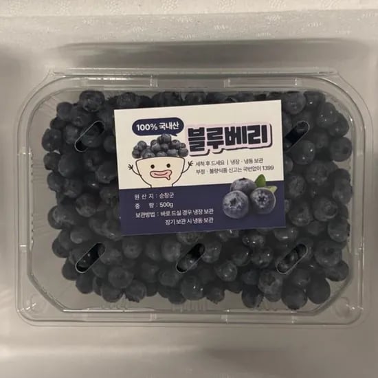 국내산 노지 블루베리, 대, 500g, 1팩