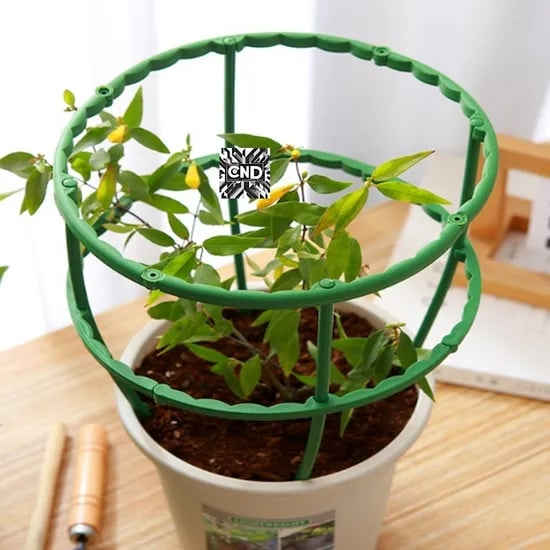 원형 화분 식물지지대, 25cm, 4개