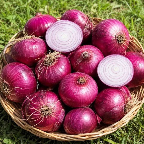 무안 단단한 햇양파 자색양파 적양파, 중대, 3kg, 1박스