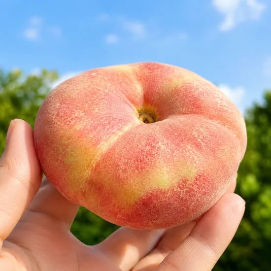 국내산 거반도 납작복숭아, 1kg, 1박스