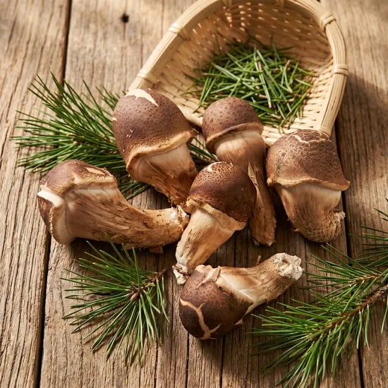 산지직송 참송이버섯, 무농약, 친환경, 500g, 1개