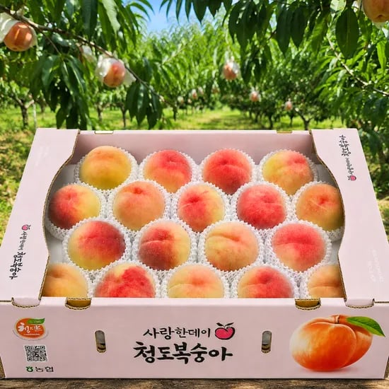 청도 백도 복숭아, 특품, 2kg, 1박스