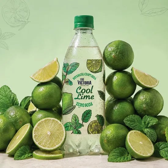 웅진식품 더 빅토리아 쿨라임 탄산음료, 500ml, 20개