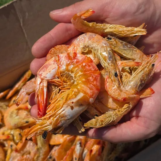 중하새우 건새우포, 1.3kg, 1팩