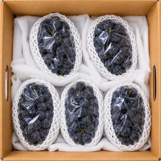 원물곳간 캠벨포도, 달콤한, 1kg, 1박스