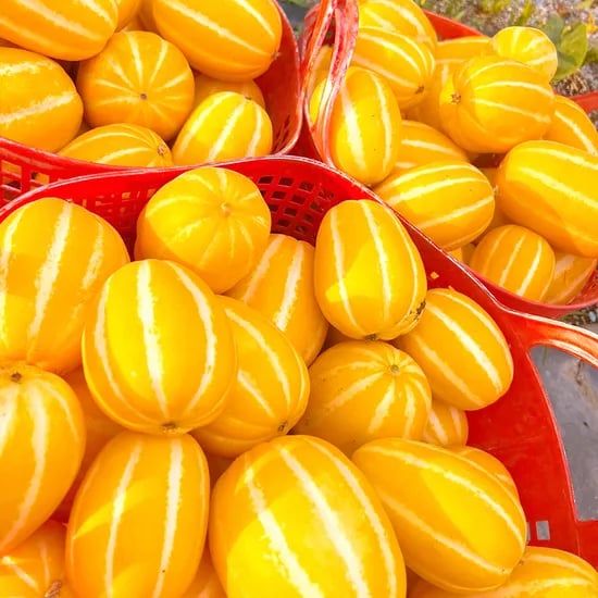 국내산 성주 꿀참외, 가정용, 10kg, 1박스