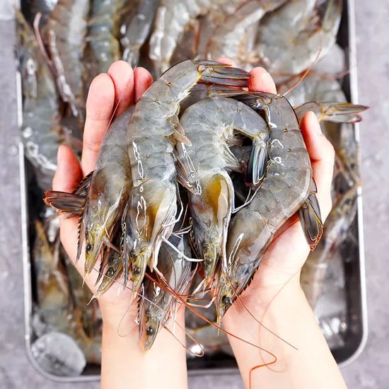 국내산 생물 흰다리새우, 500g, 20미 내외, 1개