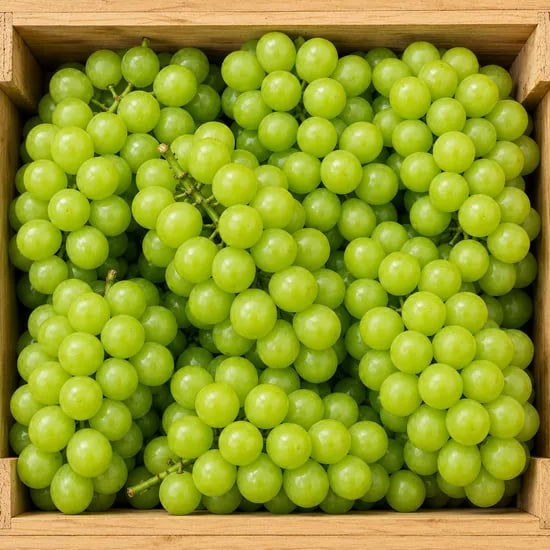 특품 고당도 샤인머스켓, 2kg, 1개