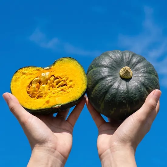 제주 미니밤호박 보우짱, 10kg, 1박스