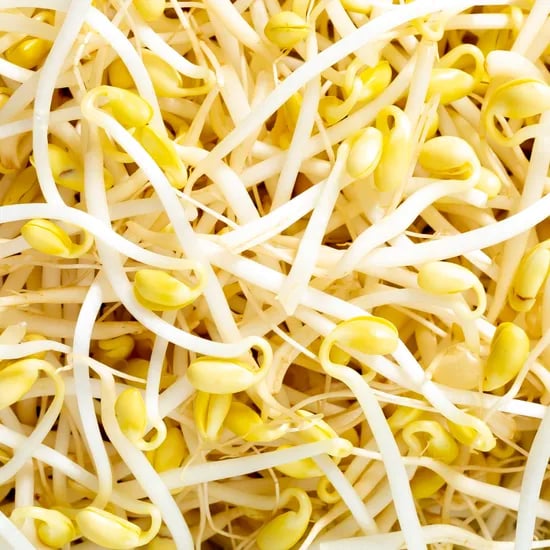 백년본가 국내산 무농약 인증 산소 콩나물, 1kg, 1개