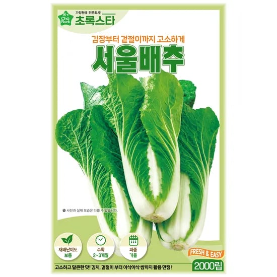 초록스타 서울배추 씨앗, 2000립, 1개