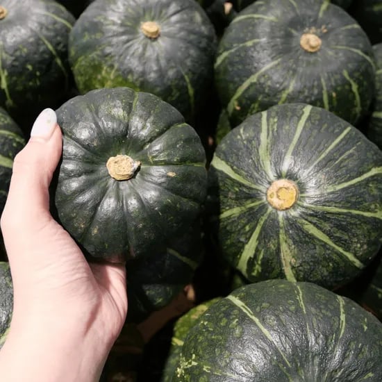 제주 미니밤호박 보우짱, 못난이, 국내산, 햇, 혼합과, 10kg, 1박스