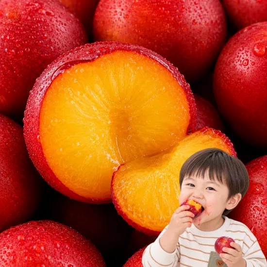 담과원 꿀뚝뚝 햇 자두, 로얄과, 2kg, 1박스
