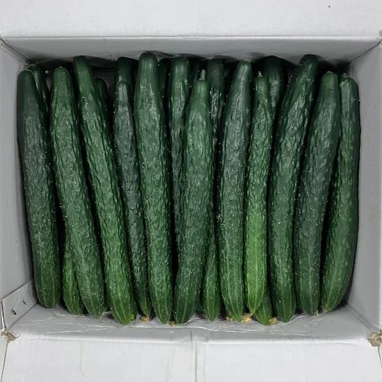 국내산 가시오이, 상, 10kg, 1개