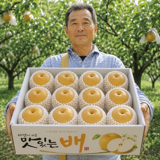 햇 나주배, 5kg, 1박스