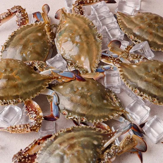 서해안 활 숫꽃게, 3-5미, 1kg, 1개