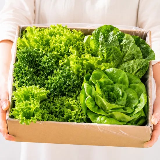 유러피안 샐러드 4종, 1kg, 1개