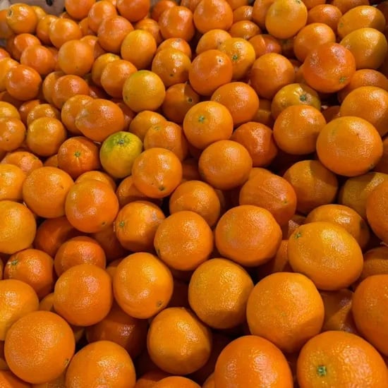 호주산 오렌지, 특과, 2kg, 9-11과, 1개