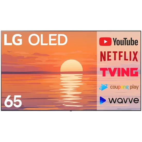 LG UHD OLED EVO 4K 스마트 TV OLED65C4, 165cm, 벽걸이형, 방문설치