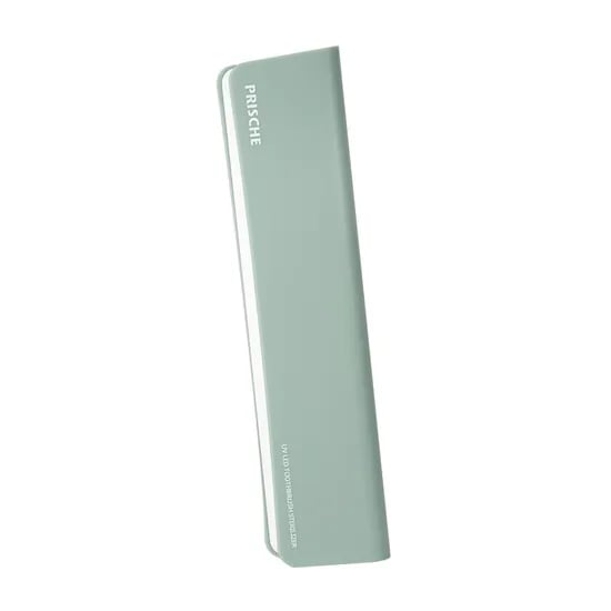 프리쉐 UV LED 휴대용 칫솔살균기 PA-TS700, 파스텔 그린, 1개