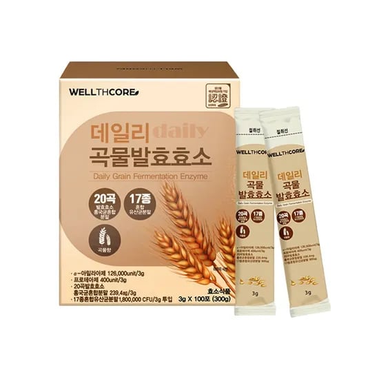 웰스코어 데일리 곡물발효효소, 3g, 100포