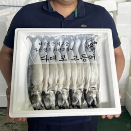 국내산 부산 자반고등어, 대, 3.1-3.7kg, 10마리
