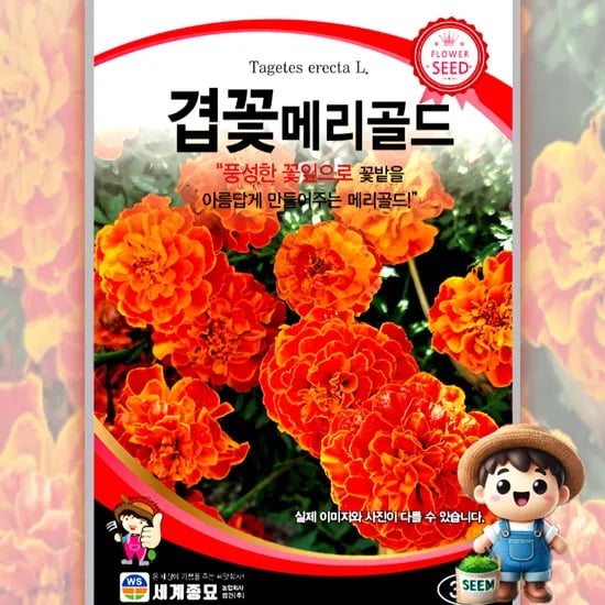 남흥원예사 겹꽃메리골드, 30립, 1개