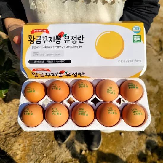 난각번호1번 프리미엄 유정란 꾸지뽕 먹고 자란 자유 방사 유정란 자연방목 계란 대란 20구 난각번호1번 프리미엄 유정란 꾸지뽕 먹고 자란 자유 방사 유정란 자연방목 계란 대란 20구
