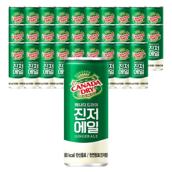 캐나다드라이 진저에일 250ml 30개 (13,720원/무료)9 캐나다드라이 진저에일 250ml 30개 (13,720원/무료)9