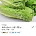 푸르젠 국내산 로메인 상추