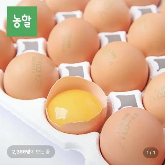 난각번호 1번 유정란 20구 난각번호 1번 유정란 20구